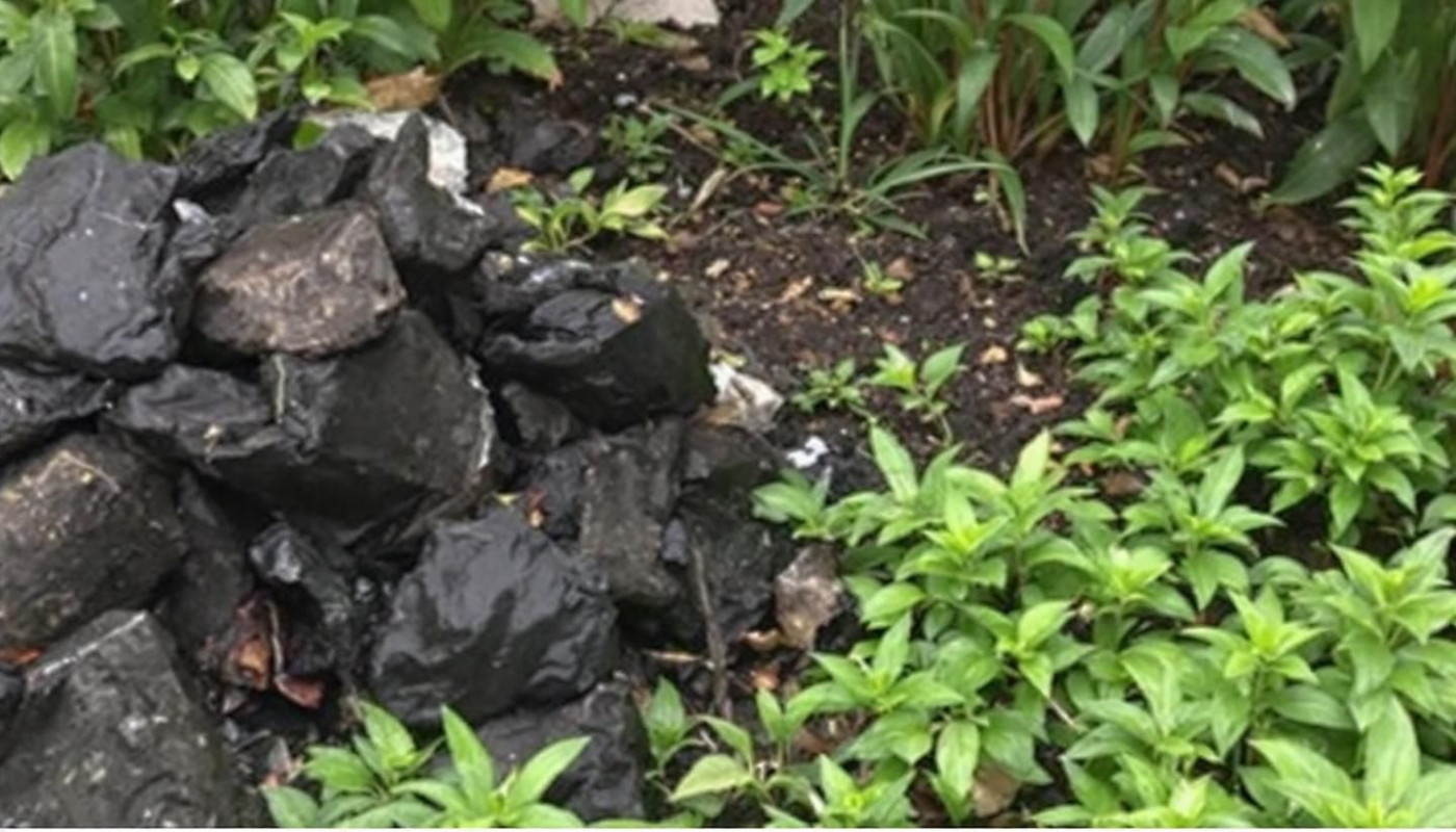 Comment le mulching transforme-t-il les déchets en nutriments ?